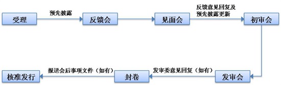 基本审核流程图